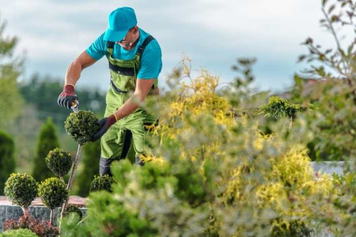 Foto di giardiniere che svolge manutenzione giardini a Roma