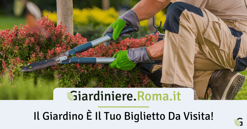 Banner Giardiniere Roma