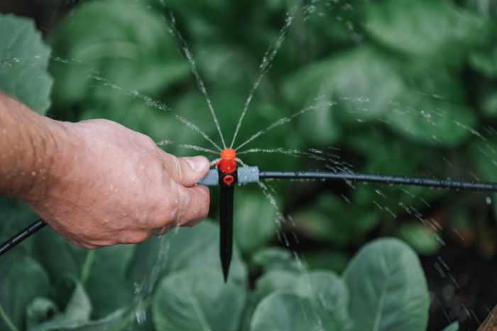 irrigare un giardino ecosostenibile