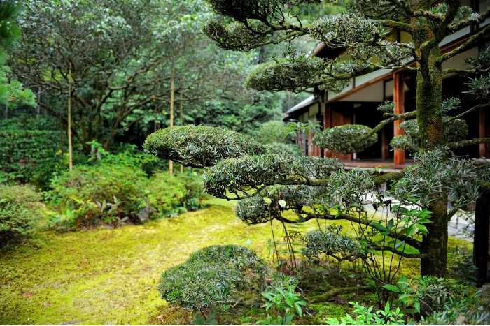 foto di piccolo giardino giapponese